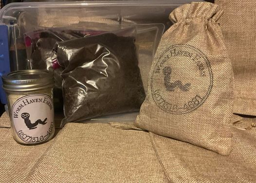 Red Wiggler Starter Kit – Everything You Need to Begin Worm Composting
